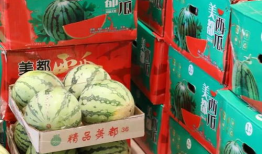 南宁吃瓜爆料事件真相,揭秘背后真相与网络舆论的反思